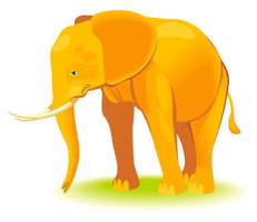 An elephant